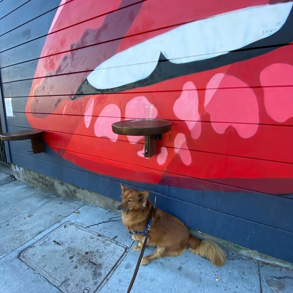 Meet your Posher, Samantha - Picture 1 of 1